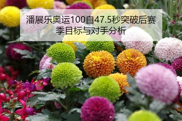 潘展乐奥运100自47.5秒突破后赛季目标与对手分析