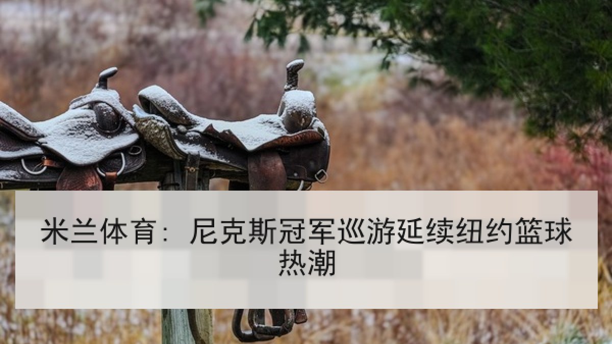 米兰体育: 尼克斯冠军巡游延续纽约篮球热潮 米兰体育: 尼克斯冠军巡游延续纽约篮球热潮